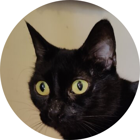 A black cat with green eyes