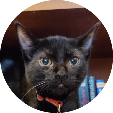A black cat with olive eyes