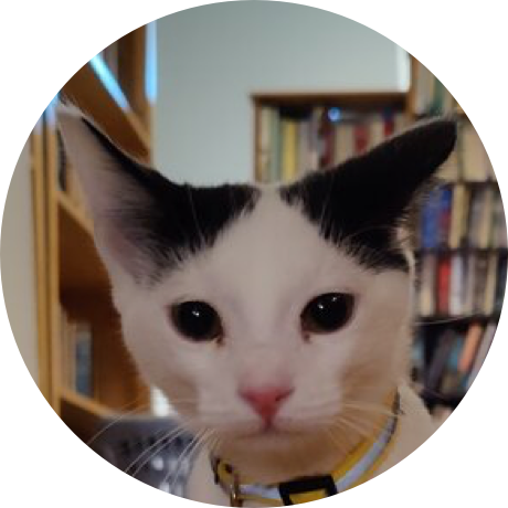 A white cat with black ears